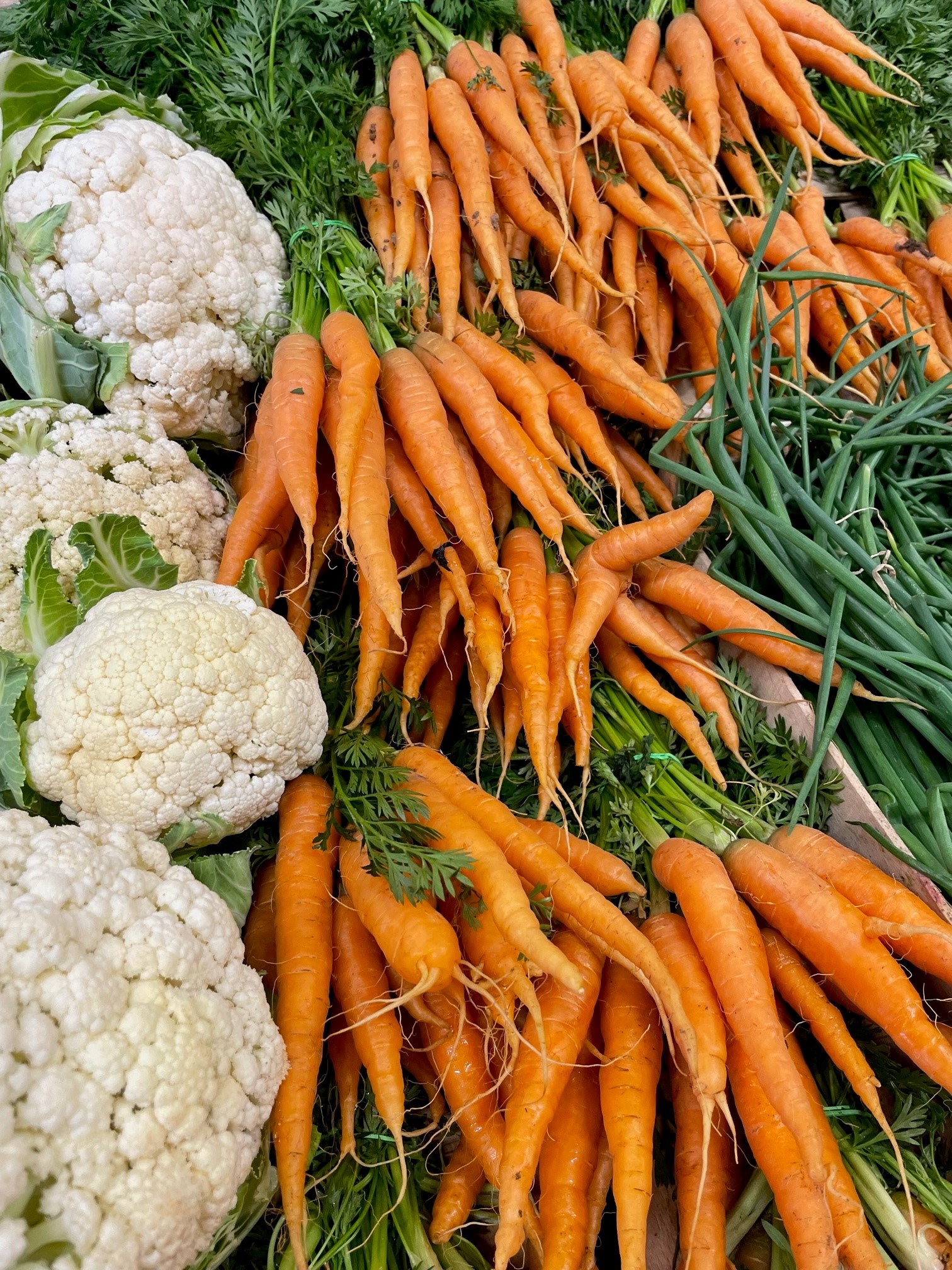 vente directe de fruits et légumes de saison