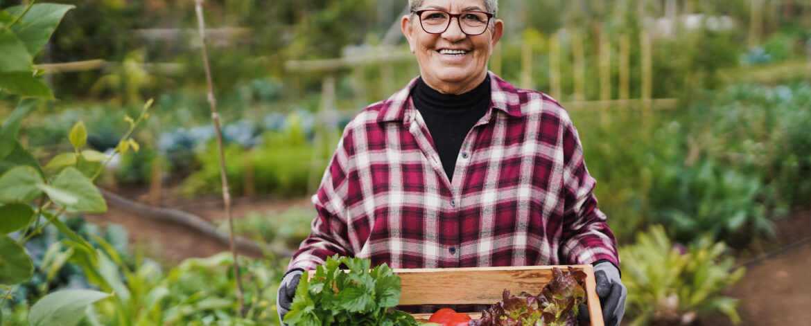 Senior woman holding fresh vegetables with garden in the background - Harvest and gardening concept