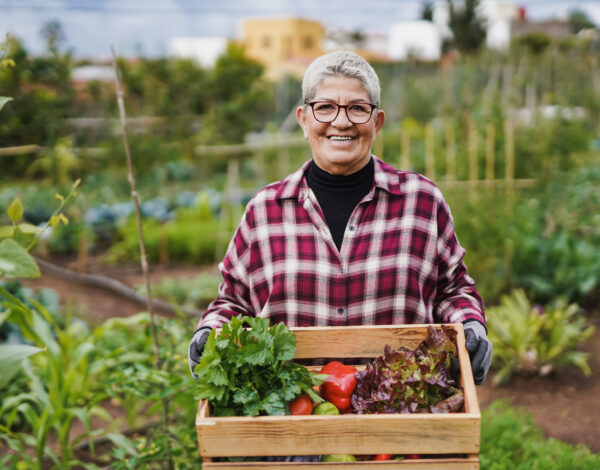 Senior woman holding fresh vegetables with garden in the background - Harvest and gardening concept