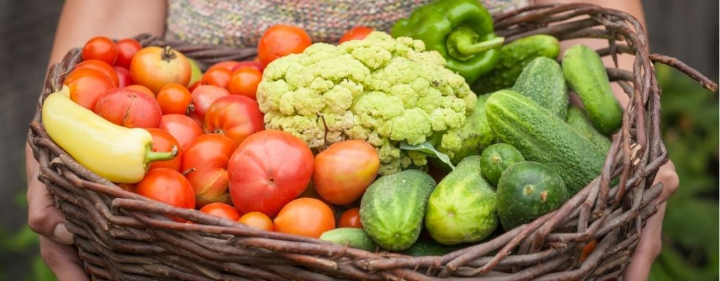 Panier de légumes de saison juste récoltés