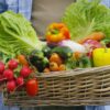 Des légumes de saison dans un panier