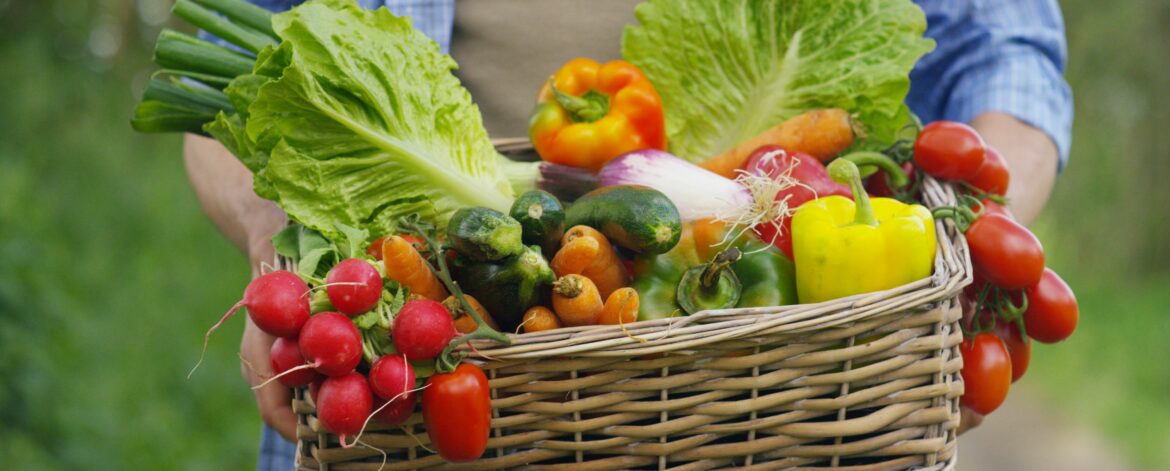 Des légumes de saison dans un panier