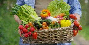 Des légumes de saison dans un panier