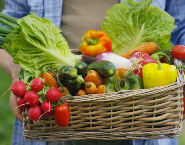 Des légumes de saison dans un panier