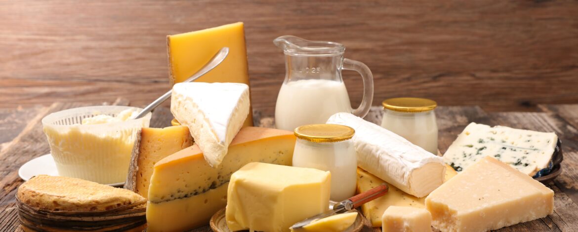 Produits laitiers artisanaux à Niort