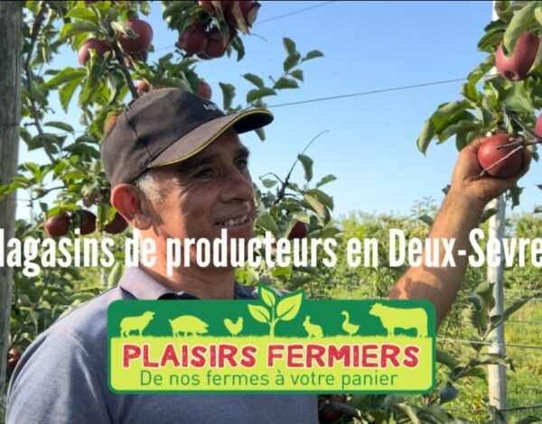 Miniture vidéo Magasin de producteurs Deux-Sèvres
