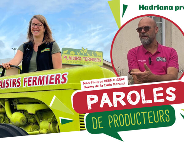 image 1 video paysage copie