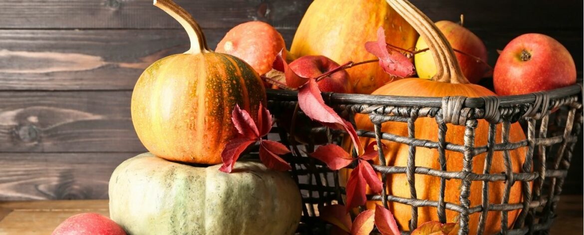 courges d'automne variées deux sèvres courges d'automne variées deux sèvres