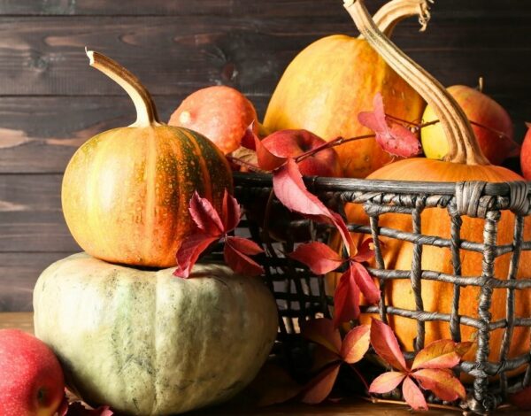 courges d'automne variées deux sèvres courges d'automne variées deux sèvres