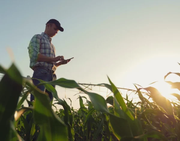 certification-hve-criteres-producteurs-locaux-2 certification-hve-criteres-producteurs-locaux-2