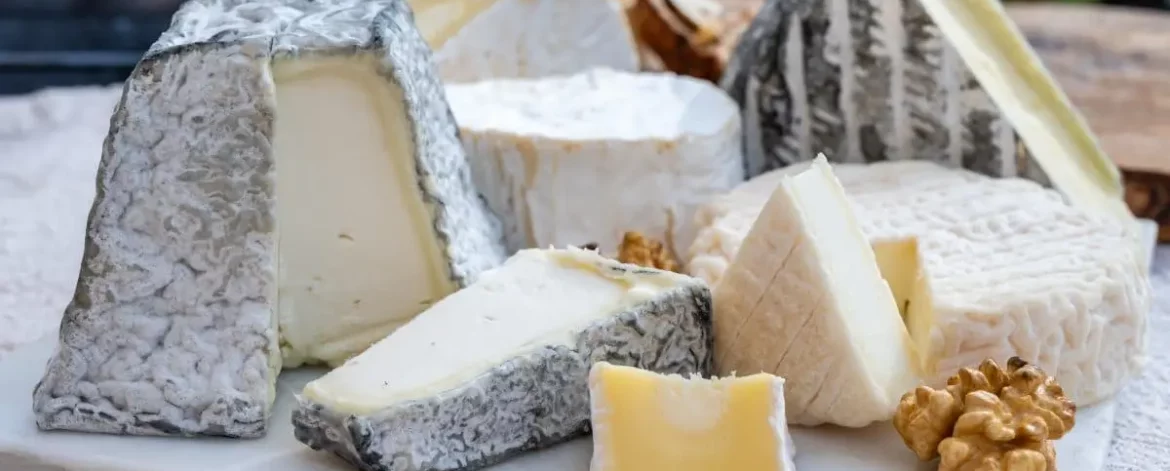degustez-meilleur-fromage-chevre-niort-_1_ degustez-meilleur-fromage-chevre-niort-_1_