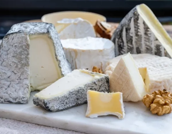 degustez-meilleur-fromage-chevre-niort-_1_ degustez-meilleur-fromage-chevre-niort-_1_